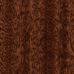 Taylor AD22e
