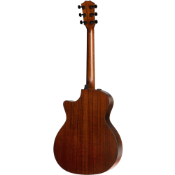 Taylor 324ce V-Class Edgeburst