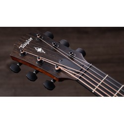Taylor 324ce V-Class Edgeburst