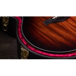 Taylor 324ce V-Class Edgeburst