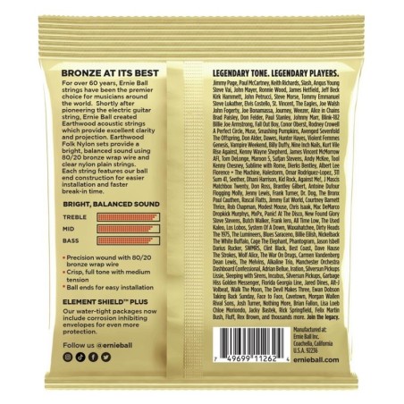Ernie Ball 3069
