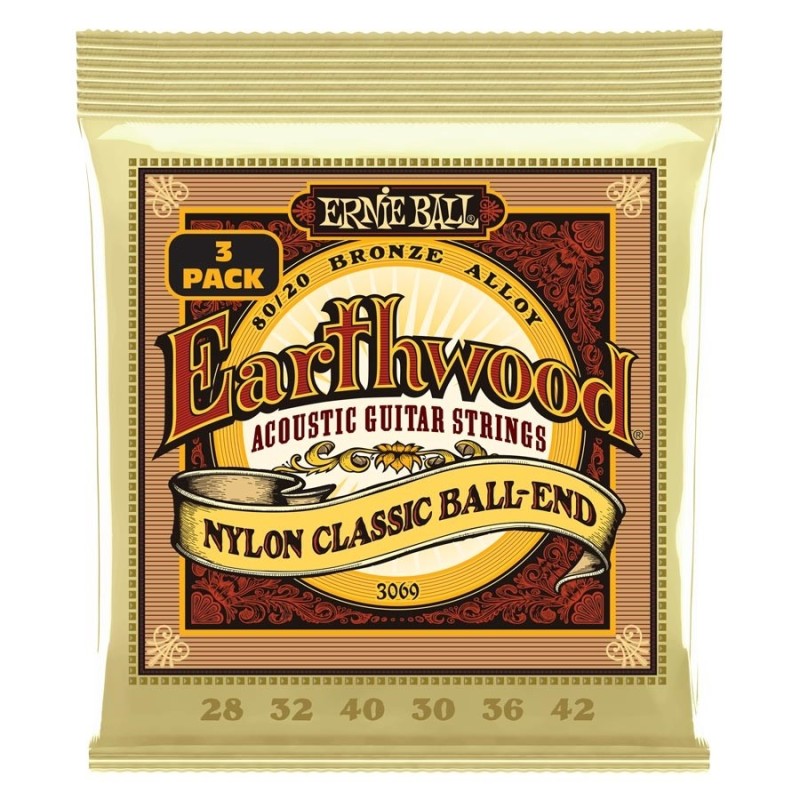 Ernie Ball 3069