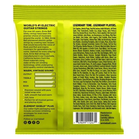 Ernie Ball 3251