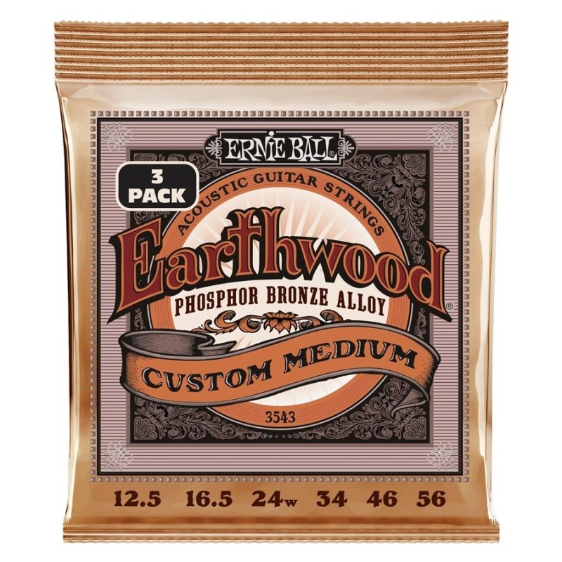 Ernie Ball 3543