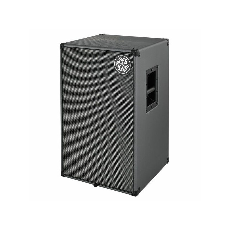 Darkglass DG212N 2x12