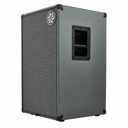 Darkglass DG212N 2x12