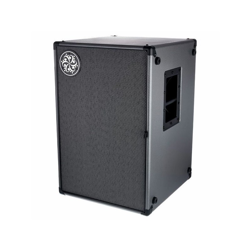 Darkglass DG210N 2x10