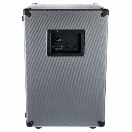 Darkglass DG210N 2x10