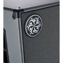 Darkglass DG210N 2x10