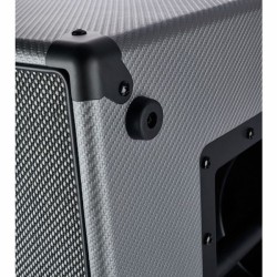 Darkglass DG210N 2x10