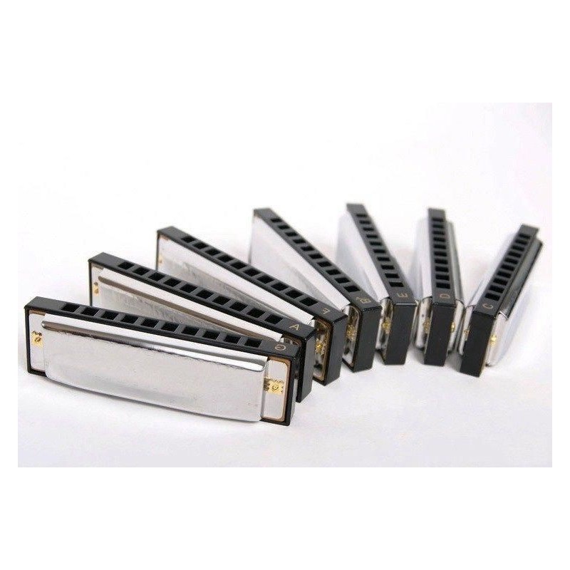 HOHNER M91105 Bluesband Harmonica Set