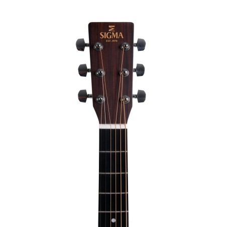 Sigma DM-1L