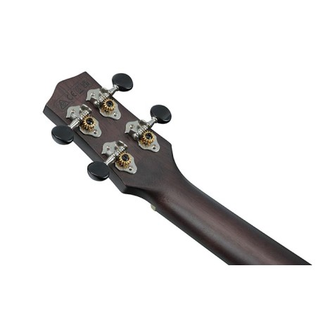 Ibanez UEW12E-BIF Black Ice Flat