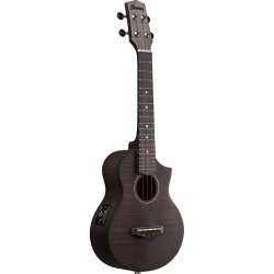 Ibanez UEW12E-BIF Black Ice Flat