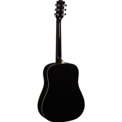 Eko Ranger 6 Brown Sunburst