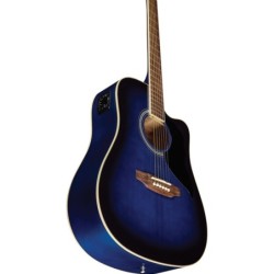 Eko Ranger CW EQ Blue Sunburst