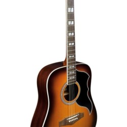 Eko Ranger VI VR EQ Honey Burst