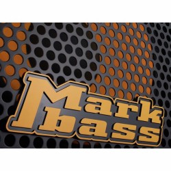 Mark Bass New York 121