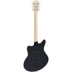 D'Angelico Premier Bedford Black Flake