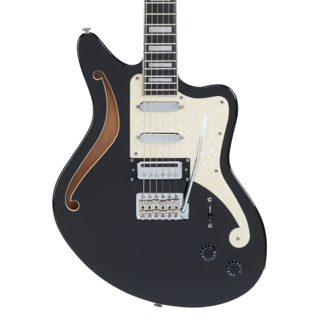 D'Angelico Premier Bedford Black Flake