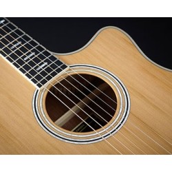 Hagstrom ORGRA2-CE