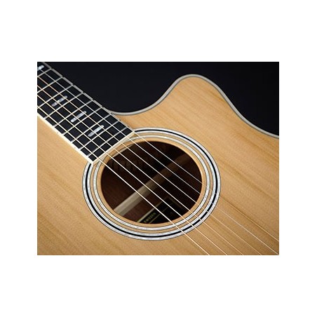 Hagstrom ORGRA2-CE