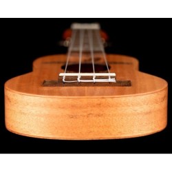 Keiki K1-MM