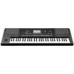 KORG PA300
