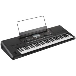 KORG PA300
