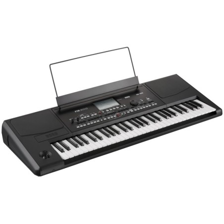 KORG PA300