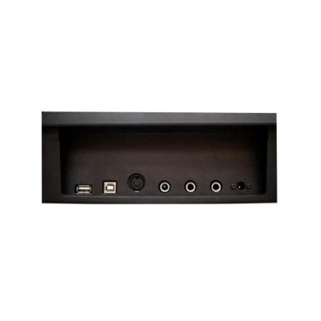 E-CHORD DP-1