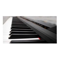 E-CHORD DP-1