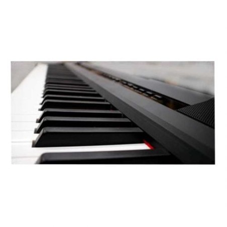 E-CHORD DP-1
