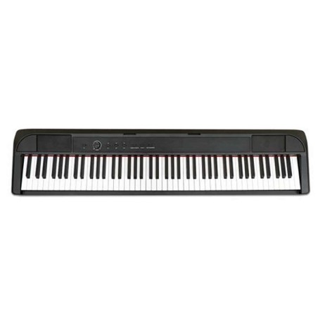 E-CHORD DP-1