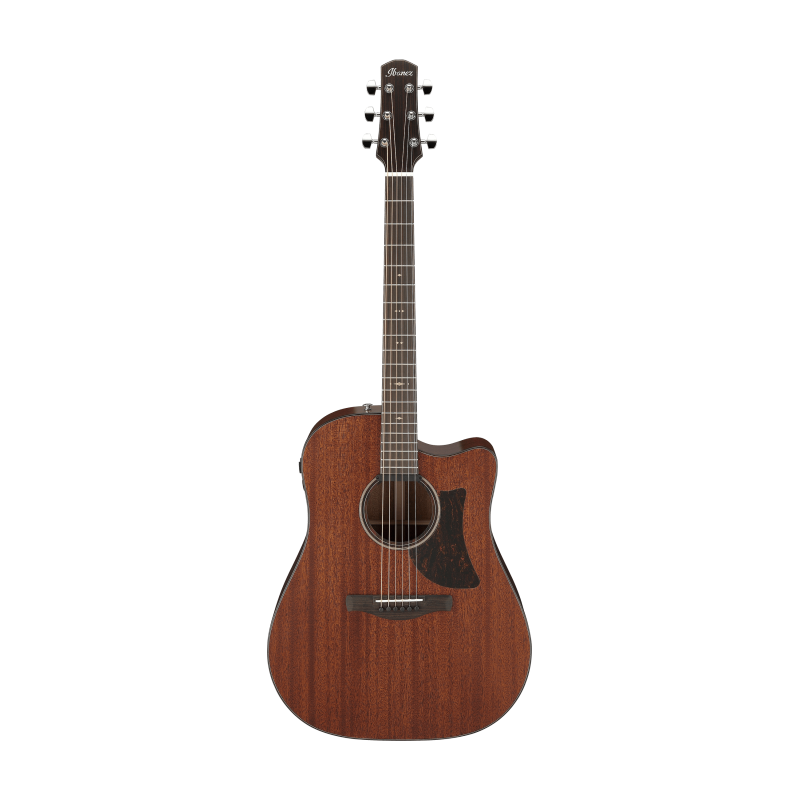 Ibanez AAD440CE-LGS Natural Low Gloss