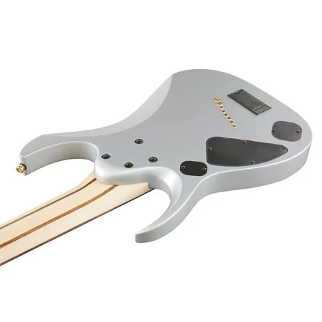 Ibanez RGDMS8-CSM Classic Silver Matte