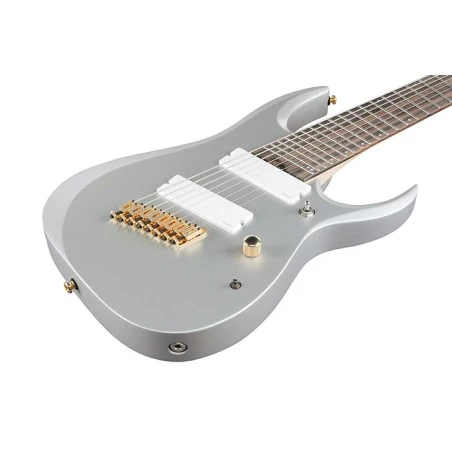Ibanez RGDMS8-CSM Classic Silver Matte