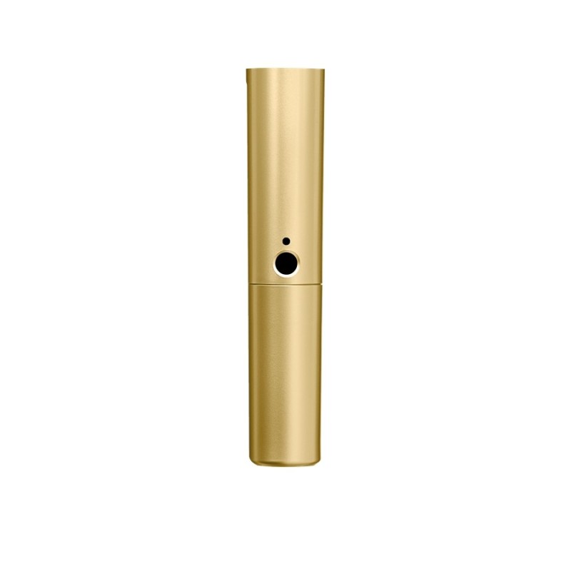 Shure W713-GLD