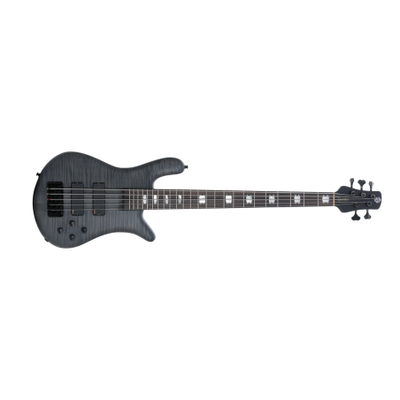Spector EURO5 Black Stain