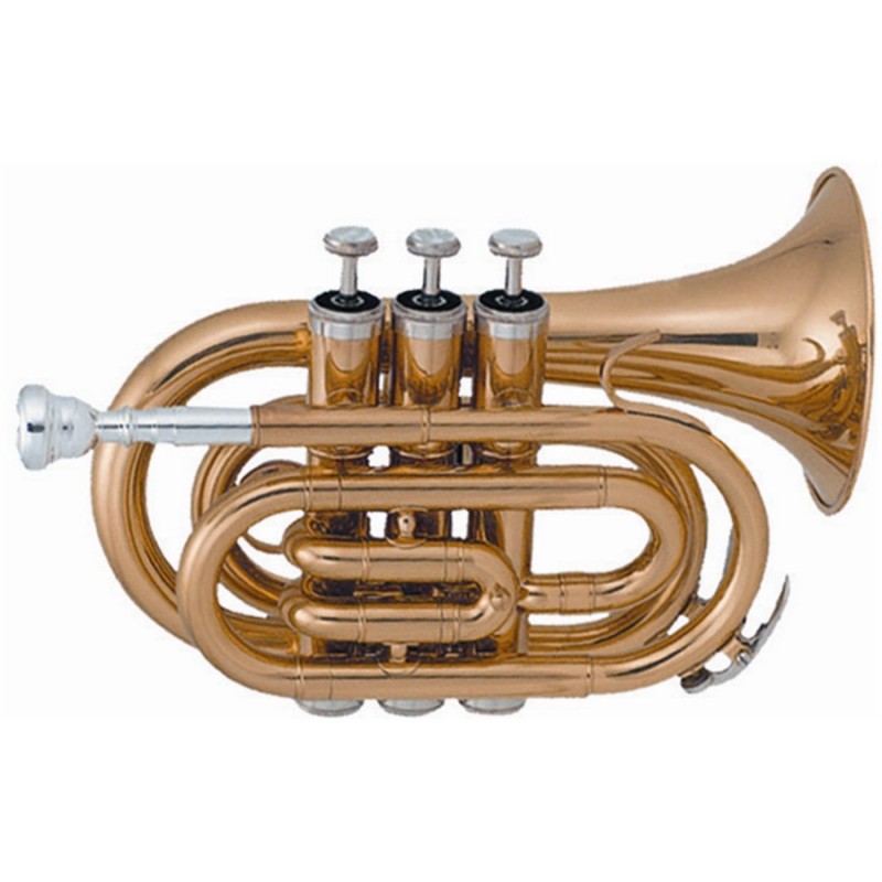 SML Paris VSM TP50