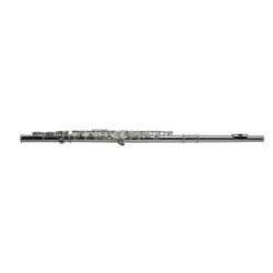 SML Paris VSM FL300E