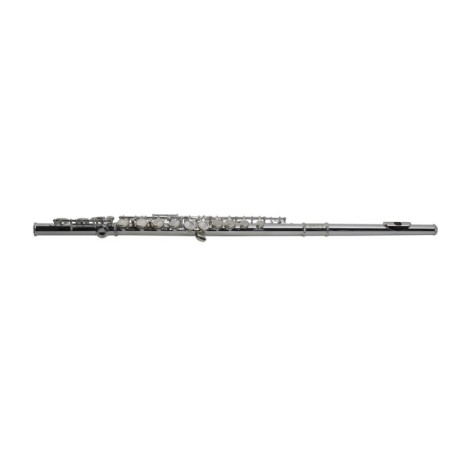 SML Paris VSM FL300E