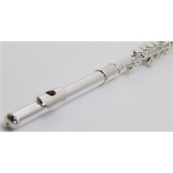 SML Paris VSM FL300E