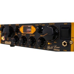 Mark Bass Little Mark Vintage 1000