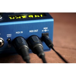 Strymon Mobius