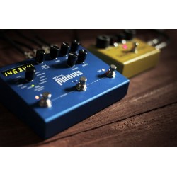 Strymon Mobius