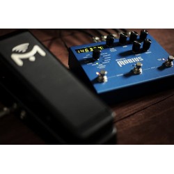 Strymon Mobius