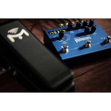Strymon Mobius