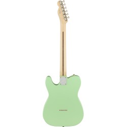 Fender American Performer Telecaster RW SGF