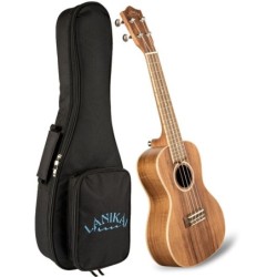 Lanikai ACST-C